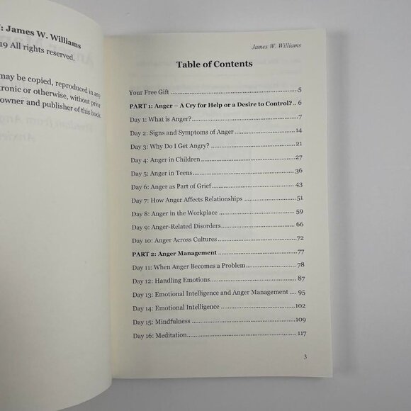 ๐ 3/$25 Anger Management by James W. Williams | Paperback - Picture 6 of 8